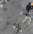 Busca por destroços de avião continua por terra por causa de mau tempo  Foto: Gonzalo Fuentes / Reuters