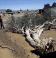 <p>Cat&aacute;strofe deixou um total de 26.406 desabrigados, dos quais 4.134 permanecem refugiados nos 30 albergues disponibilizados pelo governo</p>  Foto: Ivan Alvarado / Reuters