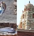 Cerimônia reuniu entre 12 mil e 15 mil pessoas em templo hindu  Foto: Mirror / Reprodução