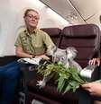  Foto: Qantas