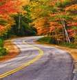 Nova Inglaterra tem belíssimas paisagens que criam cenário romântico no outono   Foto: Leena Robinson/Shutterstock