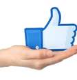 Patrocinar posts é uma poderosa ferramenta para a empresa ganhar mais cliques, curtidas, compartilhamentos e comentários  Foto: Rvlsoft / Shutterstock