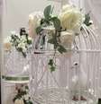 <p>Soltar pombas no dia do casamento simboliza uma união feliz e duradoura para os noivos</p>  Foto: 