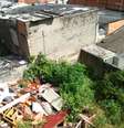 <p>Moradores relatam medo de dengue por lixo no terreno</p>  Foto: Júnior César de Oliveira / vc repórter