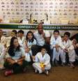 Anderson Silva oficializou seu desejo de defender o Brasil no taekwondo na Olimpíada de 2016  Foto: André Naddeo / Terra