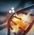 DNA  Foto: BBC Mundo / Copyright