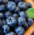         Foto: iStock