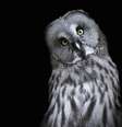     Foto: iStock