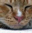    Foto: iStock