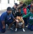 A PM do Paraná confirmou à BBC Brasil que tem dois cachorros da raça; o cão Steven, inclusive, participa de atividades com crianças  Foto: BBC News Brasil