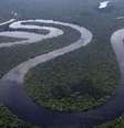 América do Sul é uma das regiões onde risco de extinção devido a alterações climáticas é maior  Foto: BBCBrasil.com