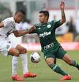 Dudu e Geuvânio foram expulsos após se enroscarem dentro da grande área; palmeirense empurrou o árbitro  Foto: Cesar Greco/Ag Palmeiras / Divulgação