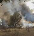 Militares dizem que bases do Boko Haram na floresta de Sambisa foram destruídas  Foto: Nigeria Military