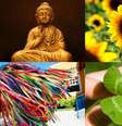     Foto: iStock