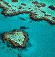 Barreira de Corais é atração em cruzeiros na Austrália e Nova Zelândia  Foto: Tanya Puntti/Shutterstock