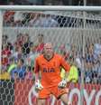 Brad Friedel fez história na Premier League  Foto: Brian Kersey / Getty Images