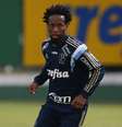 Veterano tem esbanjado preparo físico apesar dos 40 anos  Foto: Cesar Greco / Agência Palmeiras/Divulgação