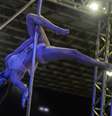 Competição de pole dance foi principal destaque da feira Arnold Classic Brasil 2015, promovida por Arnold Schwarzenegger e que acontece neste sábado (30) no Rio de Janeiro   Foto: Fernando Soutello / Agif