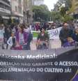 Pais e familiares de crianças com problemas de saúde pedem regulamentação do cultivo para uso medicinal  Foto: Célio Borba / vc repórter