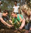 Entre atividades, passageiros ajudarão em plantações de cacau  Foto: fathom/Divulgação