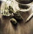 Oregon se torna o 4º estado dos EUA onde se pode consumir maconha legalmente  Foto: iStock