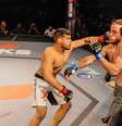 Pedro Falcão está na semifinal do XFCi 10  Foto: XFC / Divulgação