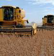 Investimento em pesquisa levou o País a criar tecnologias para cultivo em clima tropical, aponta estudo  Foto: Kleiber Arantes / Secom
