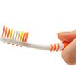 O dentista que deve dizer qual o melhor tipo de escova para cada pessoa  Foto: Garsya / Shutterstock