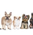    Foto: iStock