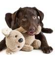    Foto: iStock