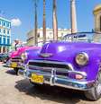Mais companhias começam a oferecer cruzeiros em Cuba  Foto: Kamira/Shutterstock