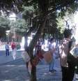 Membros da Associação dos Docentes da UFRJ (Adufrj) promovem aulas públicas em protesto no centro do Rio de Janeiro  Foto: Divulgação