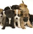  Foto: iStock