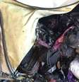 A bagagem dentro da bolsa protetora foi danificada, mas a aeronave permaneceu intacta.  Foto: BBC
