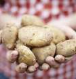  Foto: iStock