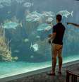 A compra ou não de excursão antecipadamente depende de seu perfil  Foto: Royal Caribbean International/Divulgação