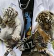  Foto: Getty Images
