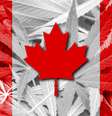 Com a discussão sobre a legalização da maconha em foco, universidade oferece curso centrado no tema  Foto: iStock