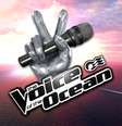 Passageiros poderão disputar título de The Voice of the Ocean em cruzeiros  Foto: Princess Cruises/Divulgação