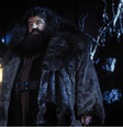 Rúbeo Hagrid, interpretado por Robbie Coltrane, não tem memórias felizes, segundo a autora britânica  J. K. Rowling  Foto: IMDb / Divulgação