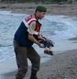 Imagens do corpo de Aylan circularam pelas redes sociais e causaram consternação no mundo  Foto: Reuters