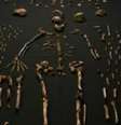 Homo naledi tem características humanas primitivas e modernas  Foto: Divulgação/BBC Brasil