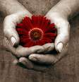  Foto: iStock