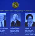 Vencedores do Prêmio Nobel de Medicina 2015  Foto: Getty Images