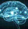 Os cientistas observaram que os anticorpos reduziu a quantidade de placas daninhas no cérebros dos animais, mas também aumentou a quantidade de neurônios hiperativos  Foto:  Thinkstock)