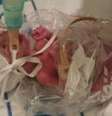 Um saquinho de sanduíche serviu como incubadora improvisada para a pequena Pixie  Foto:  Sharon Grant / BBC News Brasil