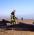  Foto: Mayor of Calais France