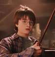 Pais estão preocupados com a adoção de Harry Potter nas bibliotecas das escolas e nas aulas  Foto: Reprodução / O Financista