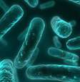 Pesquisa identificou um gene que torna bactérias infecciosas, como a E.coli, altamente resistentes à 'última linha de defesa humana' contra esses organismos  Foto: Getty Images