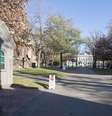 Universidade de Harvard, nos EUA  Foto: Getty Images